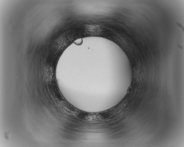 X0000099940752200806131425