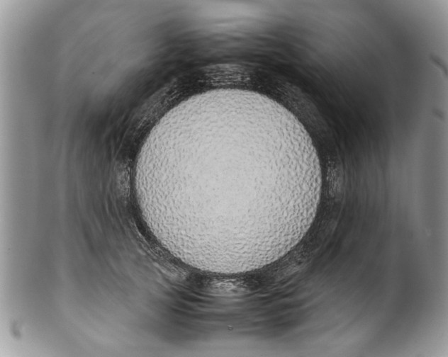 X0000099940753200806131425