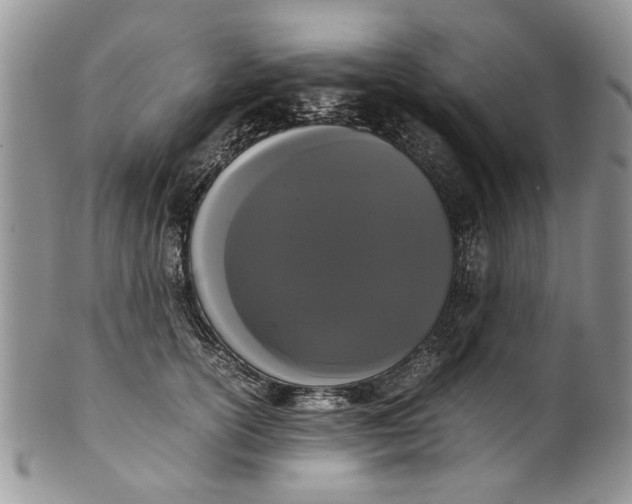 X0000099940754200806131425