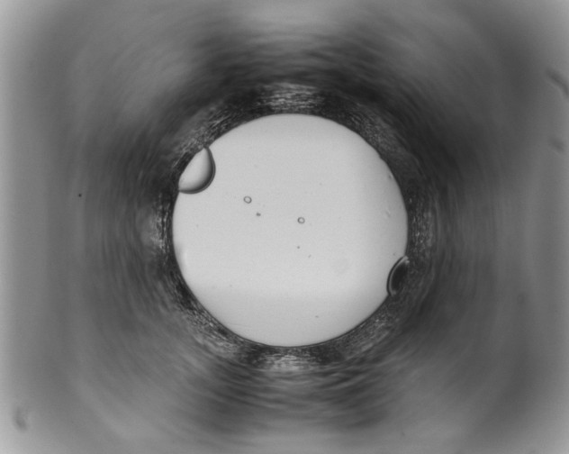 X0000099940755200806131425