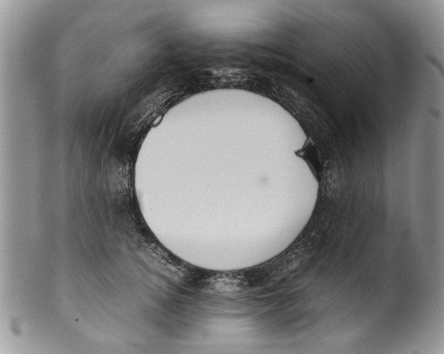 X0000099940756200806131425