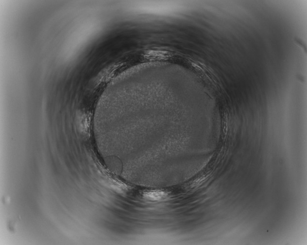 X0000099940759200806131425