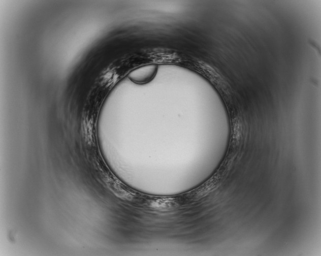 X0000099940761200806131425