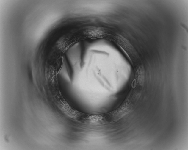 X0000099940762200806131425