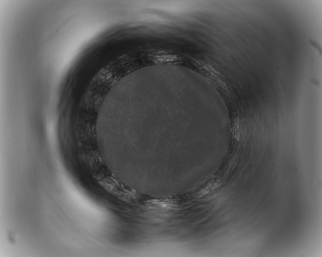 X0000099940763200806131425