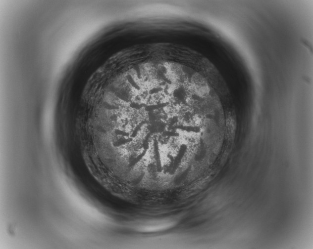 X0000099940765200806131425