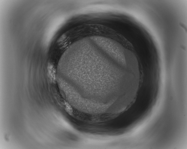 X0000099940766200806131425