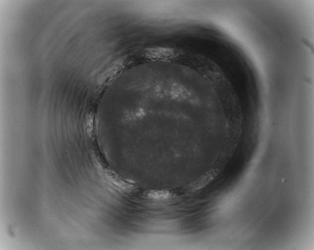 X0000099940767200806131425