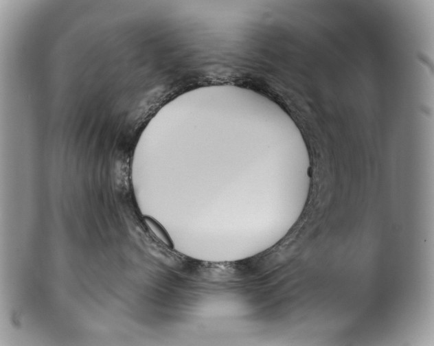 X0000099940768200806131425