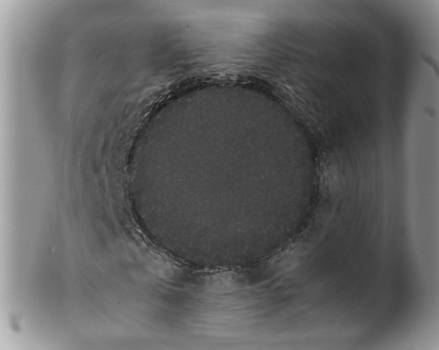 X0000099940769200806131424