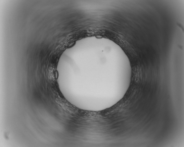 X0000099940770200806131424