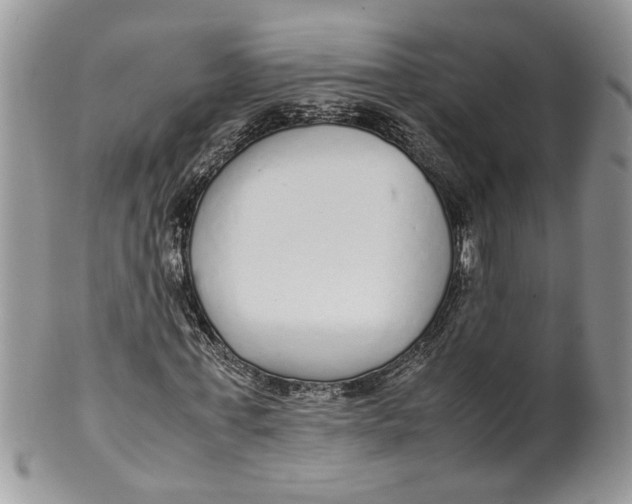 X0000099940771200806131424