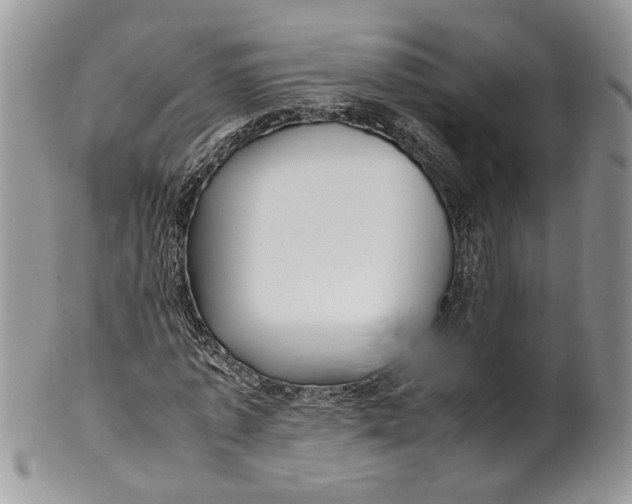 X0000099940773200806131424