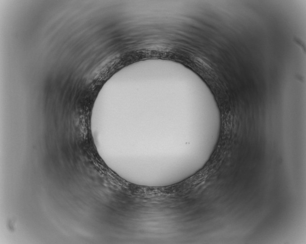 X0000099940774200806131424