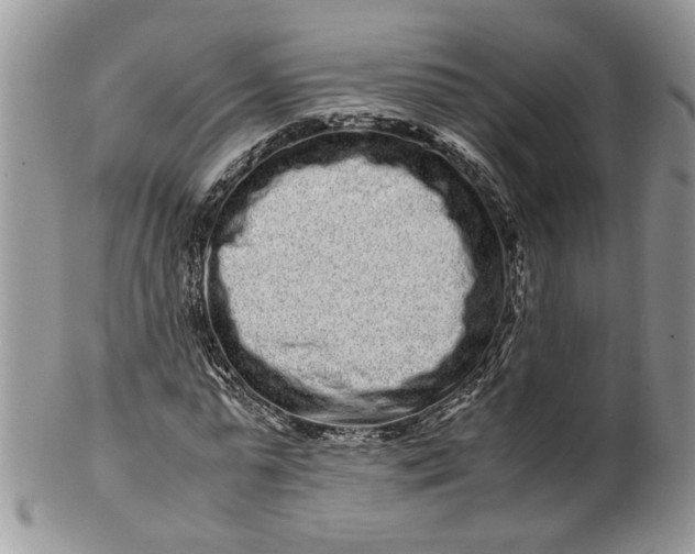 X0000099940775200806131424