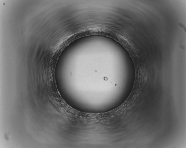 X0000099940776200806131424