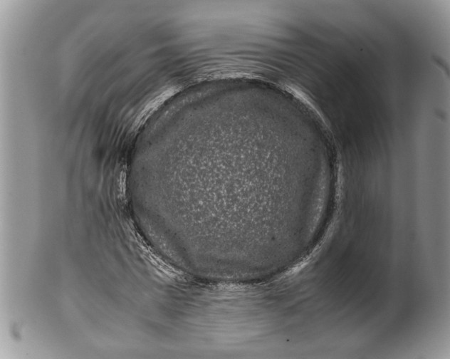 X0000099940777200806131424