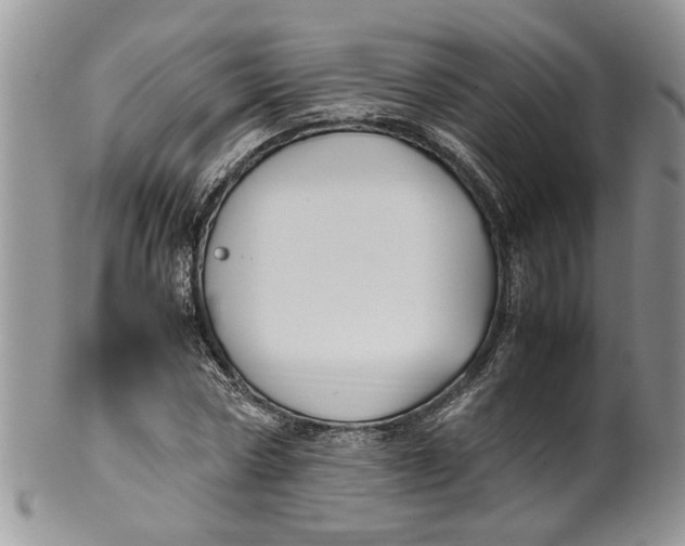 X0000099940778200806131424