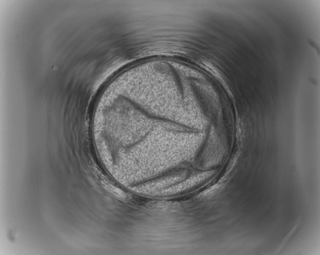 X0000099940779200806131424