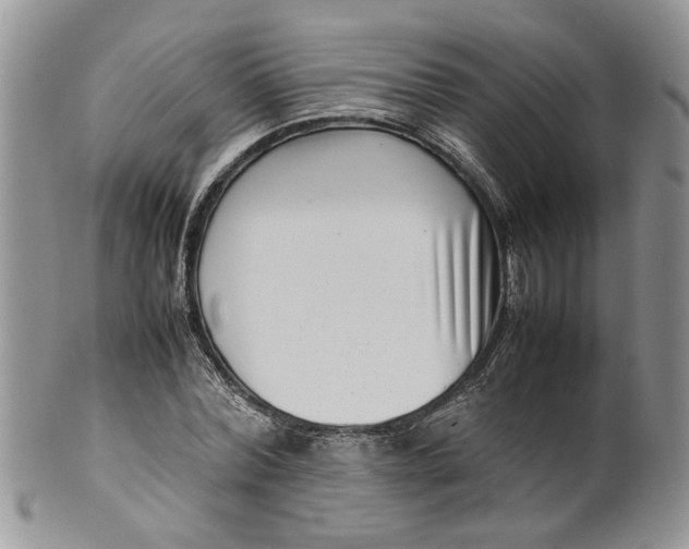 X0000099940780200806131424