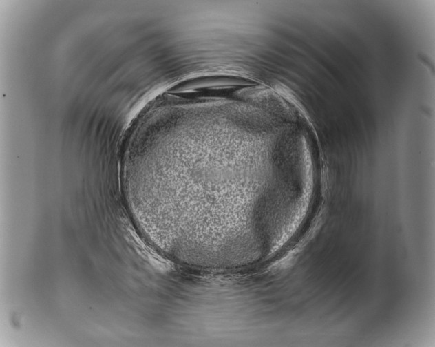 X0000099940781200806131424