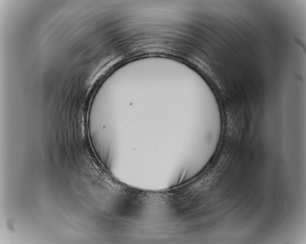 X0000099940782200806131424