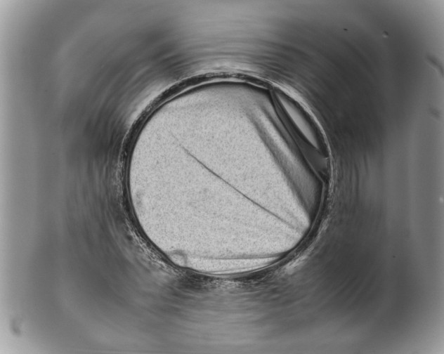 X0000099940783200806131424