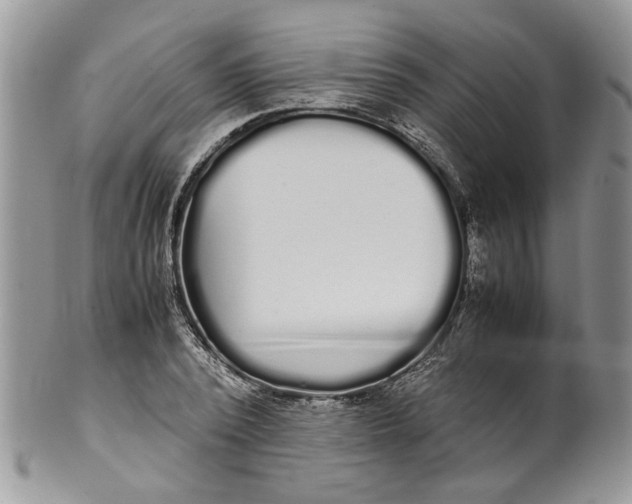 X0000099940784200806131424