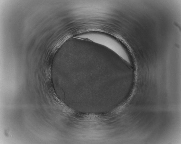 X0000099940785200806131424