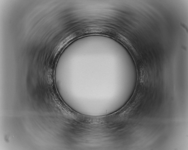 X0000099940786200806131424