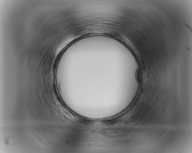 X0000099940787200806131424