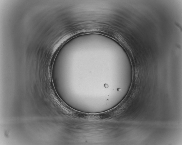 X0000099940789200806131424