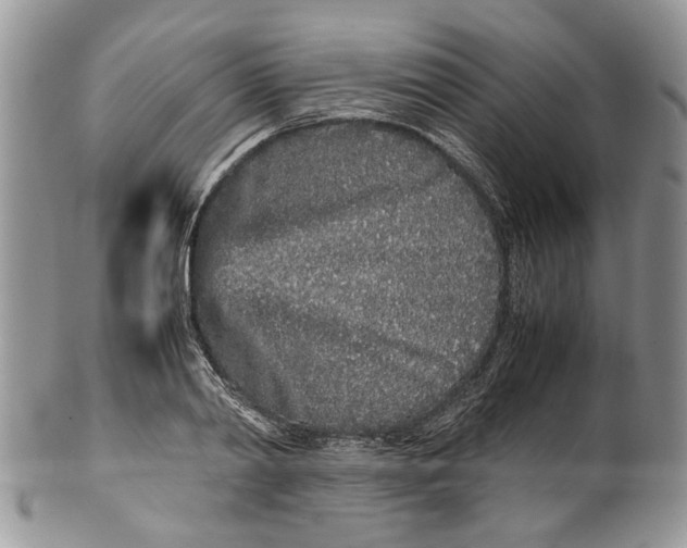 X0000099940790200806131424