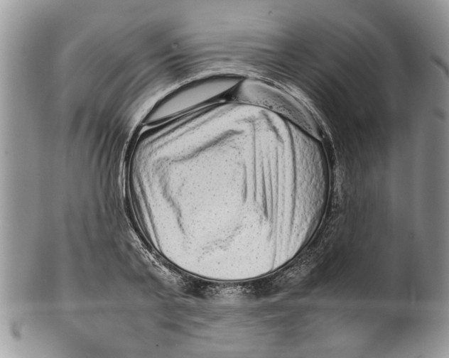 X0000099940791200806131424