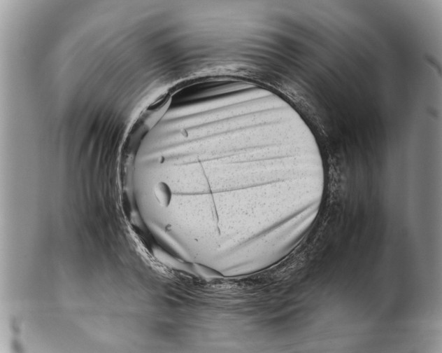 X0000099940792200806131424