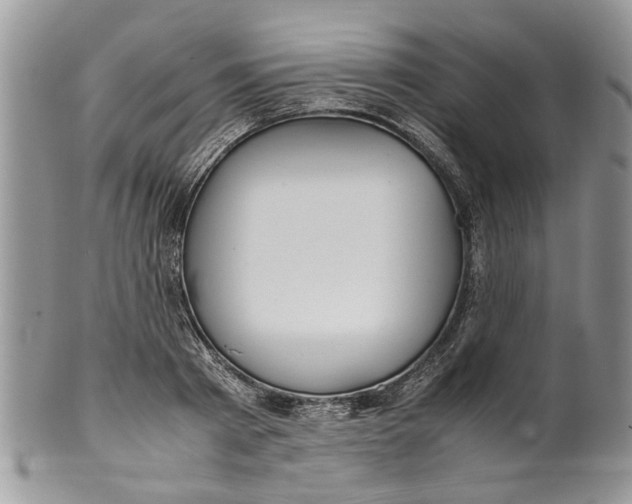 X0000099940793200806131424