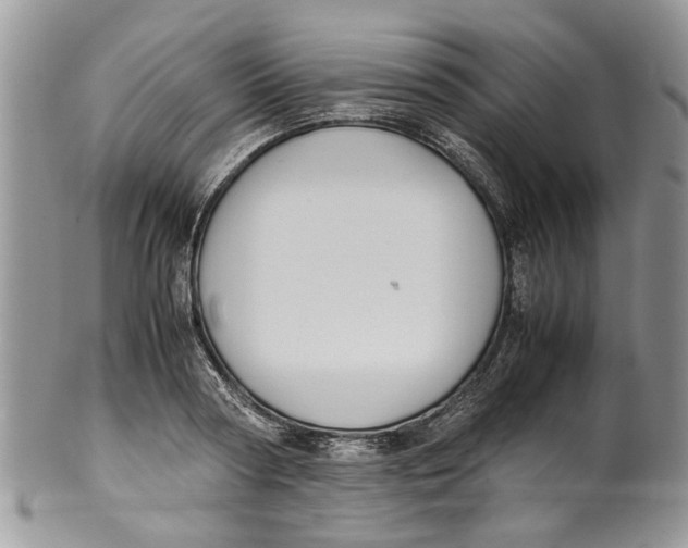 X0000099940794200806131424