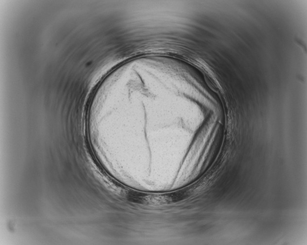 X0000099940795200806131424