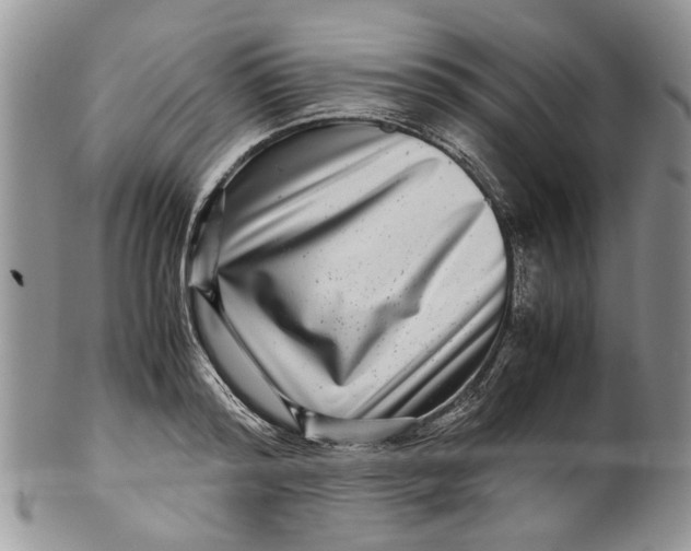 X0000099940796200806131424