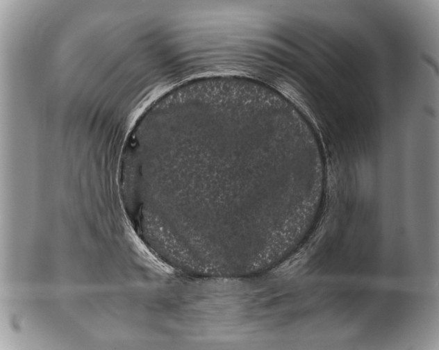 X0000099940797200806131424