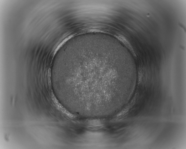 X0000099940798200806131424