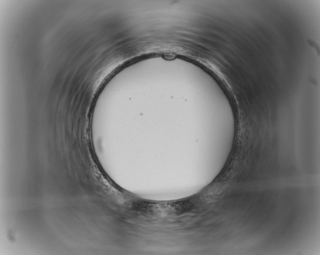 X0000099940799200806131424