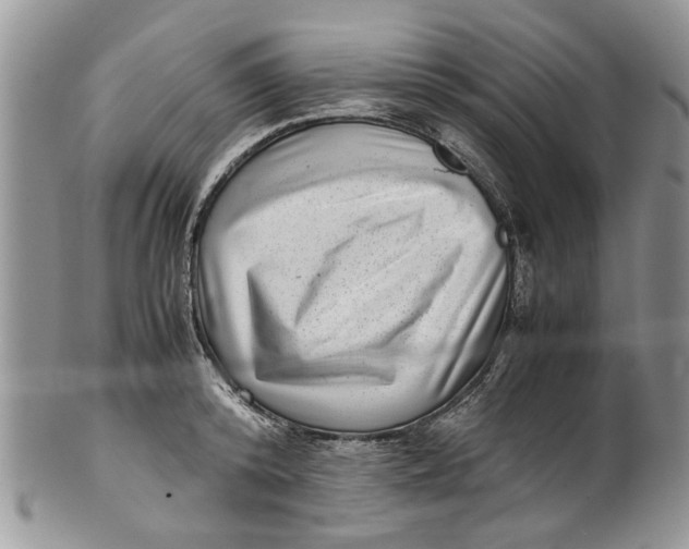 X0000099940800200806131424