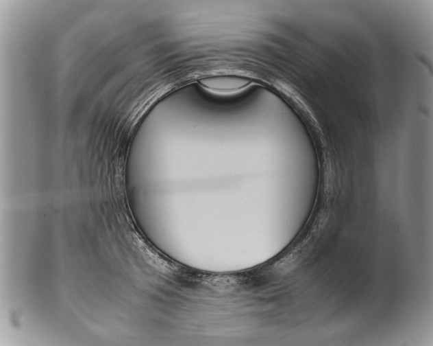 X0000099940801200806131424