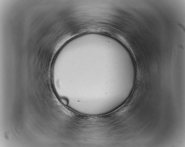 X0000099940803200806131424