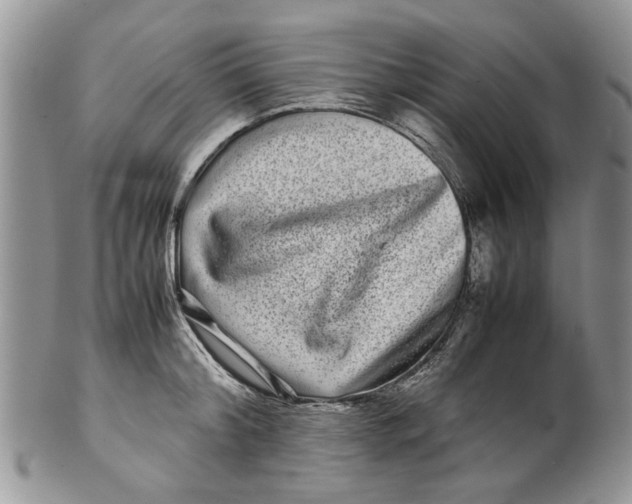 X0000099940804200806131424