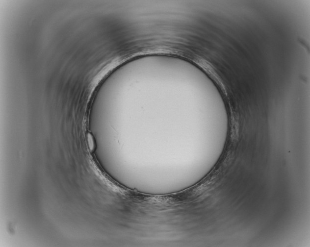 X0000099940805200806131424