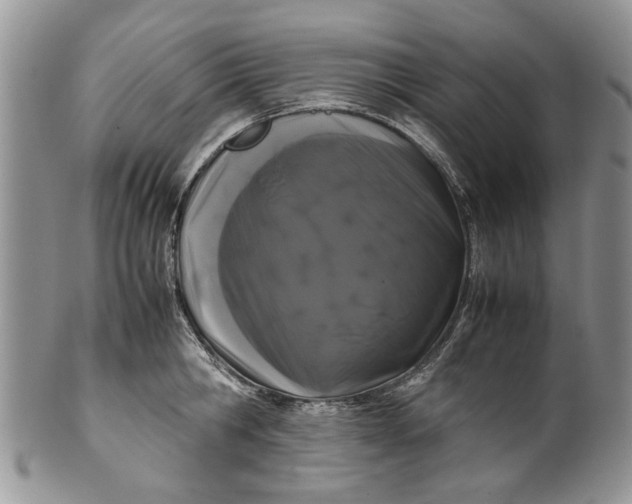 X0000099940806200806131424