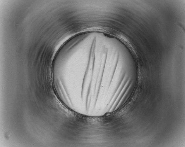 X0000099940808200806131424