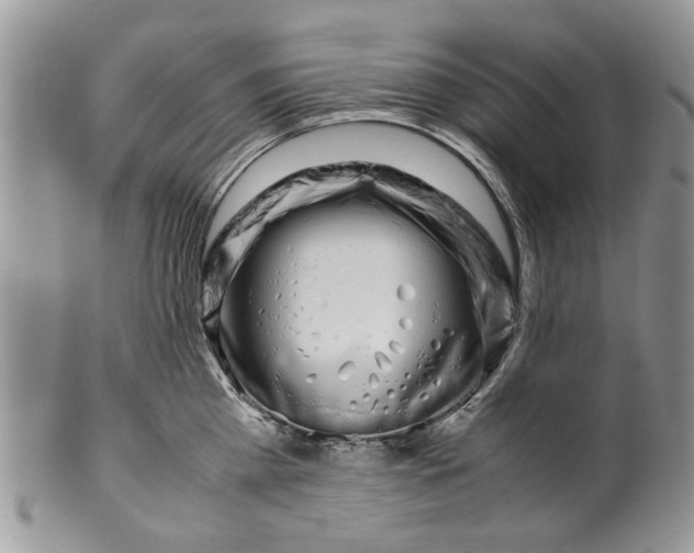 X0000099940809200806131424